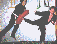 Solo Martial Arts Drills Ebook Screenshot